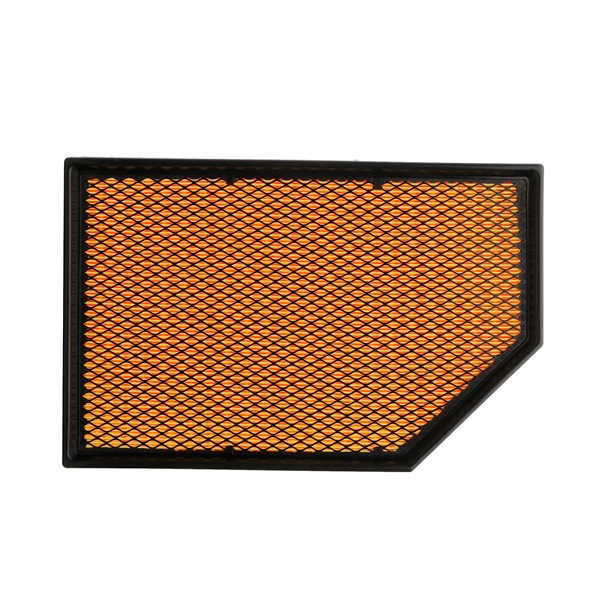 Air Filter RIDEX 8A0170P 8A0170P - photo 1