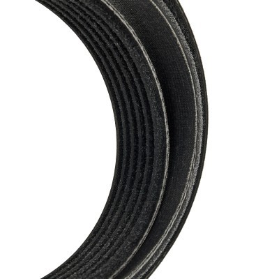 V-Ribbed Belt RIDEX 305P0206P 305P0206P - photo 4