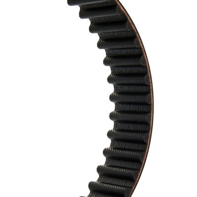 Timing Belt RIDEX 306T0204P 306T0204P - photo 4