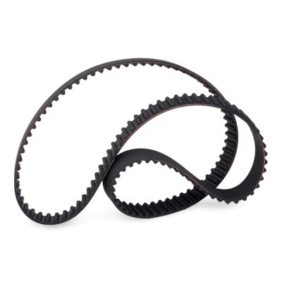 Timing Belt RIDEX 306T0172 306T0172 - photo 3