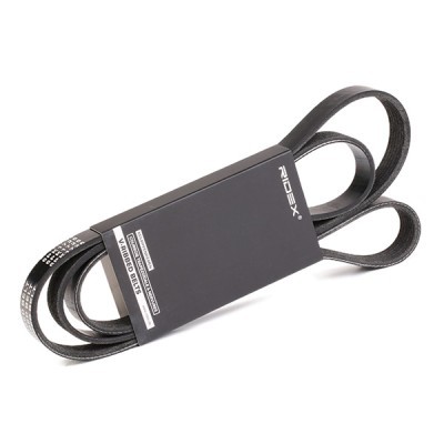 V-Ribbed Belt RIDEX 305P0171 305P0171 - photo 2
