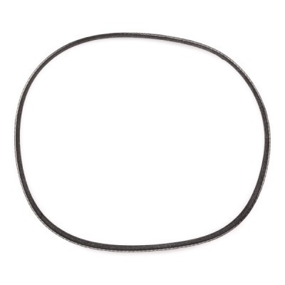 V-Ribbed Belt RIDEX 305P0479P 305P0479P - photo 4