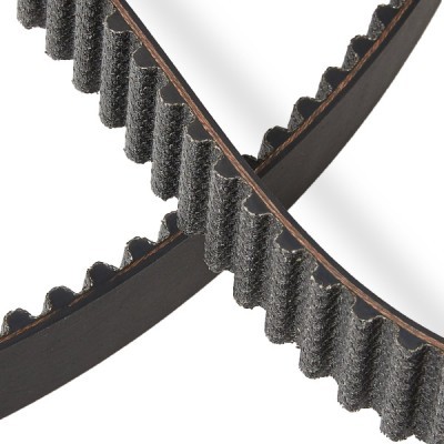 Timing Belt RIDEX 306T0071P 306T0071P - photo 5