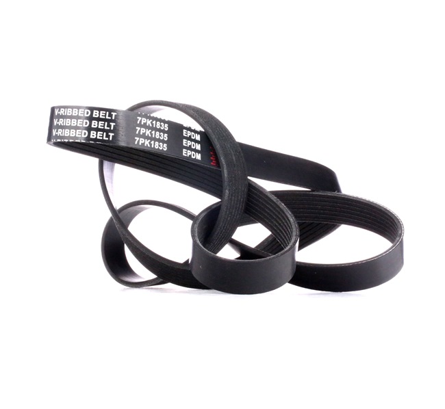 V-Ribbed Belt RIDEX 305P0385 305P0385 - photo 1