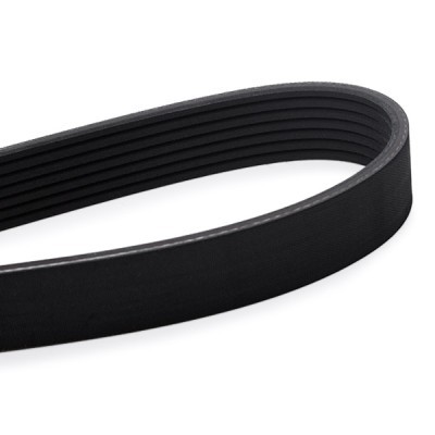 V-Ribbed Belt RIDEX 305P0469 305P0469 - photo 4
