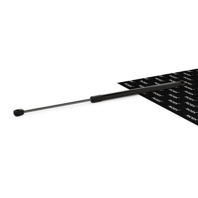 Bonnet  Gas Spring RIDEX 514G0054 514G0054 - photo 3