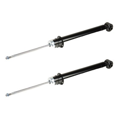 Shock Absorber RIDEX 854S19313 854S19313 - photo 1