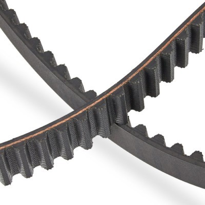 Timing Belt RIDEX 306T0002P 306T0002P - photo 5