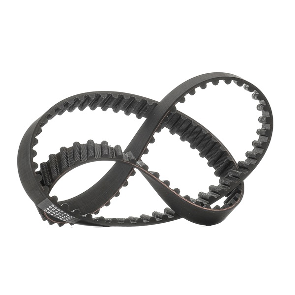 Timing Belt RIDEX 306T0062P 306T0062P - photo 1