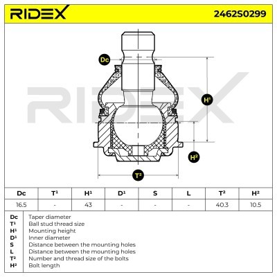 Ball Joint RIDEX 2462S0299 2462S0299 - photo 6