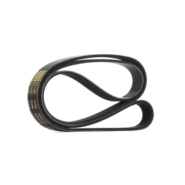V-Ribbed Belt RIDEX 305P0173P 305P0173P - photo 1