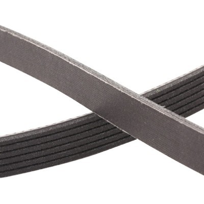V-Ribbed Belt RIDEX 305P0350P 305P0350P - photo 5