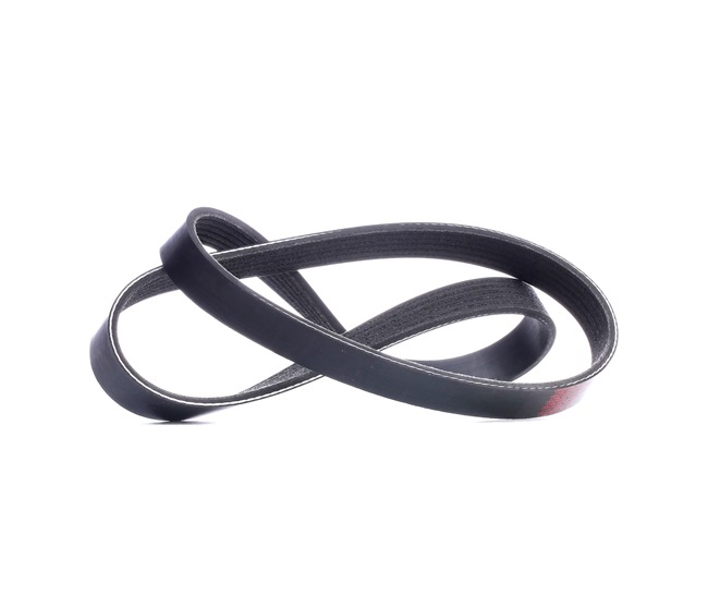V-Ribbed Belt RIDEX 305P0053 305P0053 - photo 1