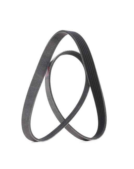 V-Ribbed Belt RIDEX 305P0056P 305P0056P - photo 1