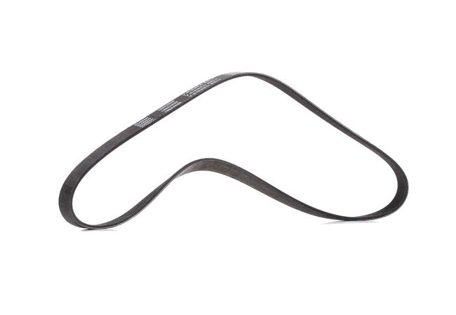 V-Ribbed Belt RIDEX 305P0060P 305P0060P - photo 1