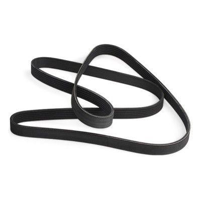 V-Ribbed Belt RIDEX 305P0287 305P0287 - photo 5