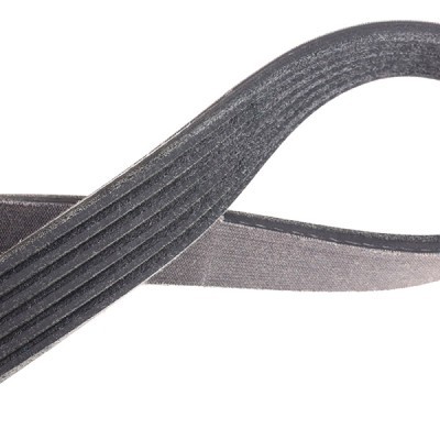 V-Ribbed Belt RIDEX 305P0163P 305P0163P - photo 4