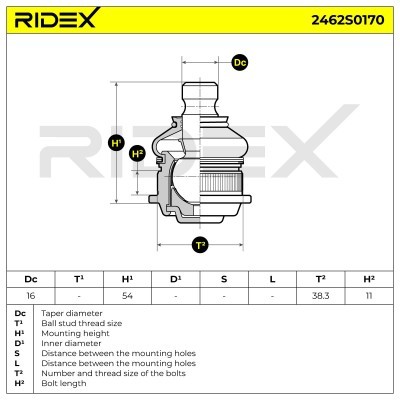 Ball Joint RIDEX 2462S0170 2462S0170 - photo 7