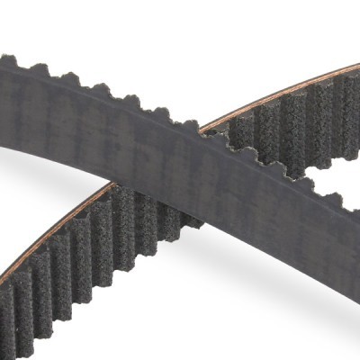 Timing Belt RIDEX 306T0070P 306T0070P - photo 5