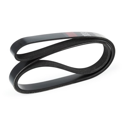 V-Ribbed Belt RIDEX 305P0214 305P0214 - photo 4
