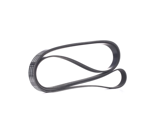 V-Ribbed Belt RIDEX 305P0225 305P0225 - photo 1