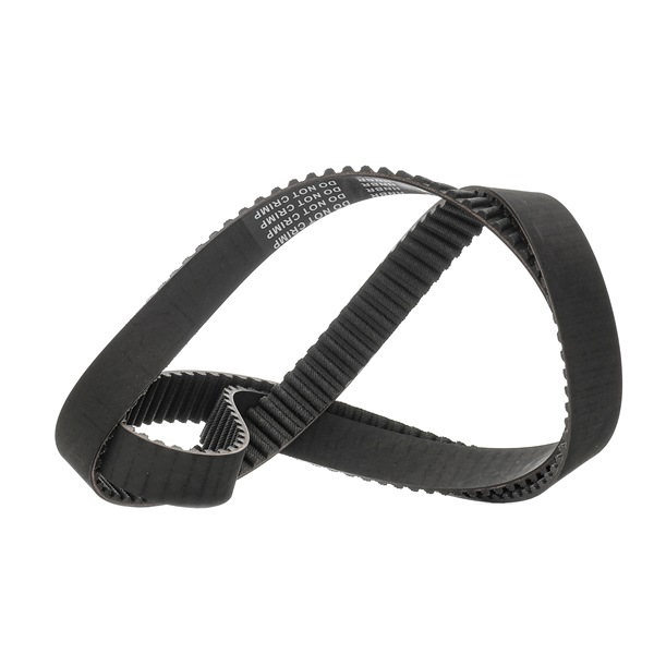 Timing Belt RIDEX 306T0031P 306T0031P - photo 1