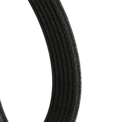 V-Ribbed Belt RIDEX 305P0141P 305P0141P - photo 4