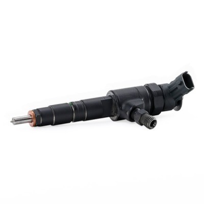 Injector Nozzle RIDEX 3902I0262R 3902I0262R - photo 3