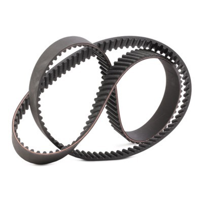 Timing Belt RIDEX 306T0119 306T0119 - photo 3