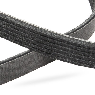 V-Ribbed Belt RIDEX 305P0287P 305P0287P - photo 5