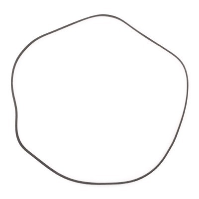 V-Ribbed Belt RIDEX 305P0315P 305P0315P - photo 4