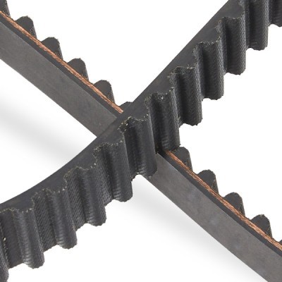 Timing Belt RIDEX 306T0014P 306T0014P - photo 5