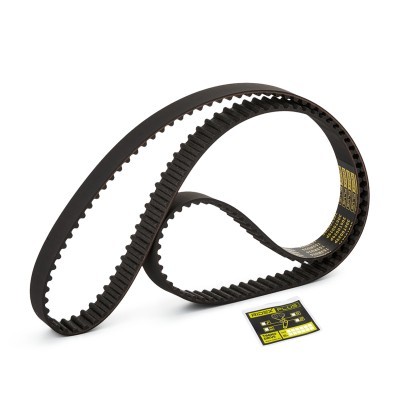 Timing Belt RIDEX 306T0029P 306T0029P - photo 4