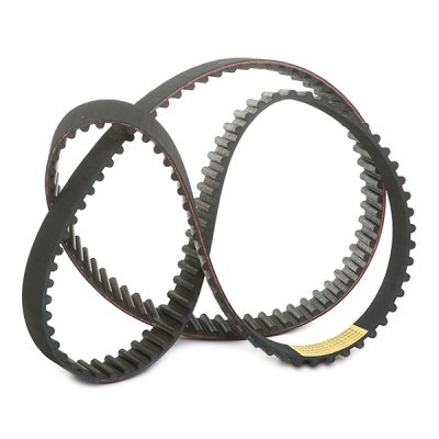 Timing Belt RIDEX 306T0046 306T0046 - photo 3