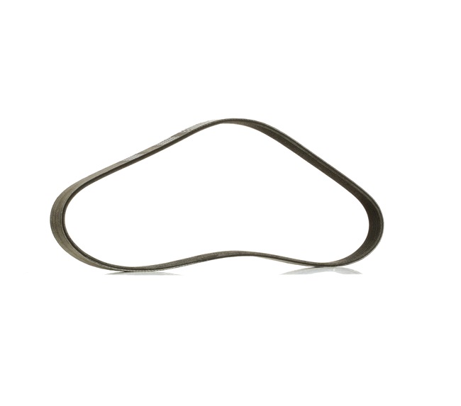 V-Ribbed Belt RIDEX 305P0183P 305P0183P - photo 1