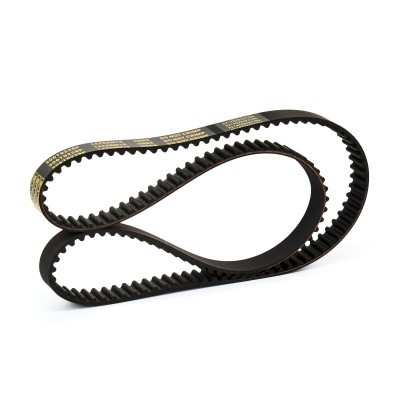 Timing Belt RIDEX 306T0228P 306T0228P - photo 3