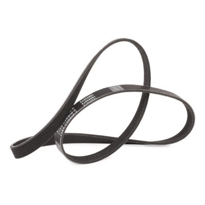 V-Ribbed Belt RIDEX 305P0289P 305P0289P - photo 3