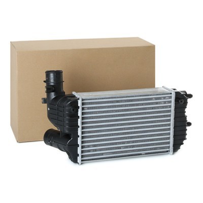 Intercooler, Charger RIDEX 468I0163 468I0163 - photo 3