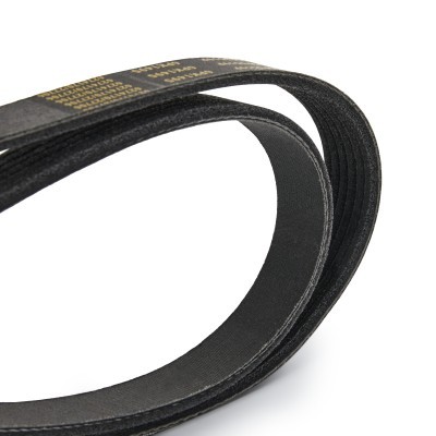V-Ribbed Belt RIDEX 305P0519P 305P0519P - photo 4