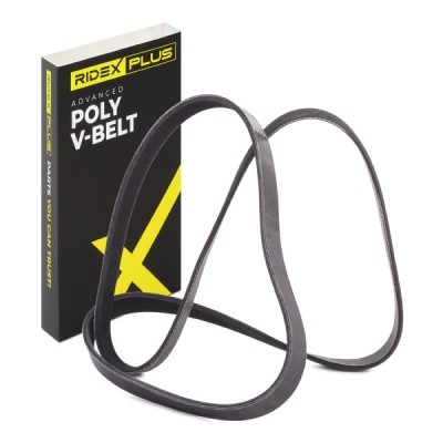 V-Ribbed Belt RIDEX 305P0241P 305P0241P - photo 2