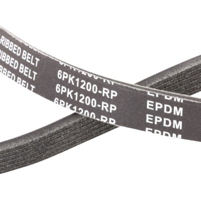 V-Ribbed Belt RIDEX 305P0064P 305P0064P - photo 5