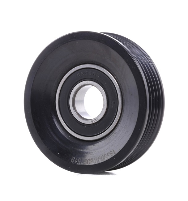 V-Ribbed Belt Deflection Guide Pulley RIDEX 312D0025 312D0025 - photo 1