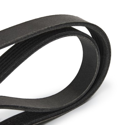 V-Ribbed Belt RIDEX 305P0050P 305P0050P - photo 5