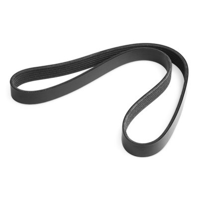V-Ribbed Belt RIDEX 305P0165 305P0165 - photo 7