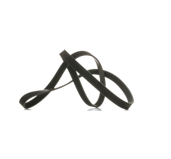 V-Ribbed Belt RIDEX 305P0147P 305P0147P - photo 1