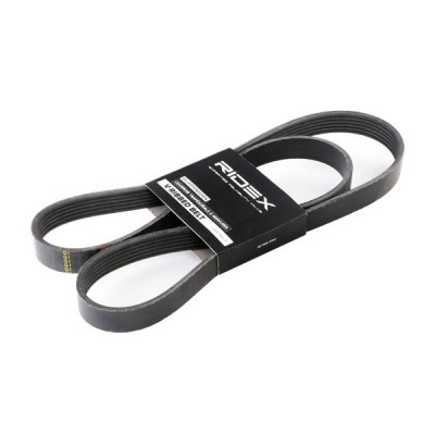 V-Ribbed Belt RIDEX 305P0066 305P0066 - photo 3