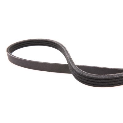 V-Ribbed Belt RIDEX 305P0326P 305P0326P - photo 4