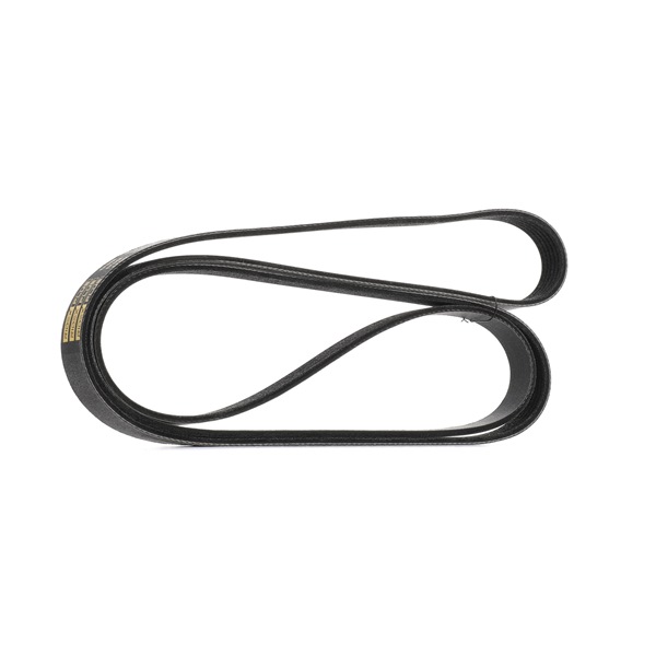 V-Ribbed Belt RIDEX 305P0100P 305P0100P - photo 1