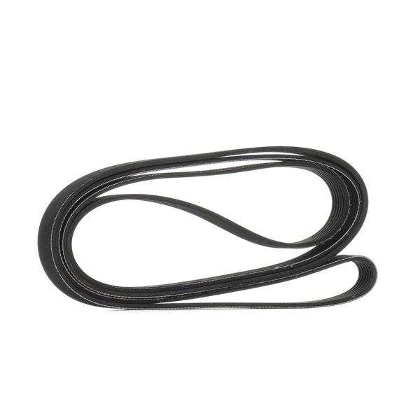 V-Ribbed Belt RIDEX 305P0330 305P0330 - photo 1