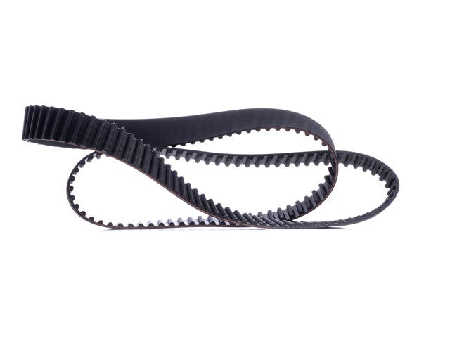 Timing Belt RIDEX 306T0121 306T0121 - photo 1
